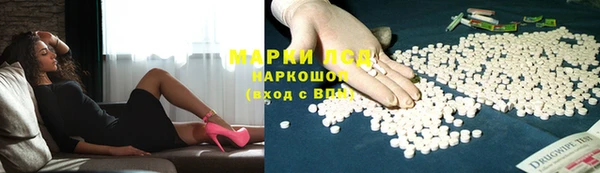 индика Алзамай