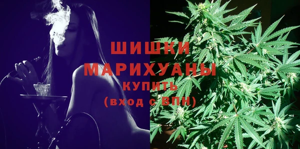индика Алзамай