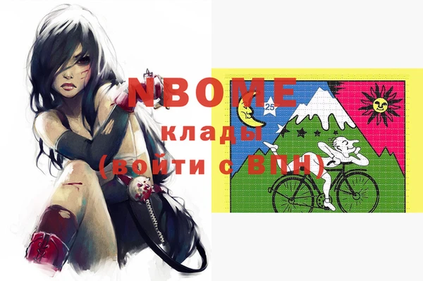 индика Алзамай